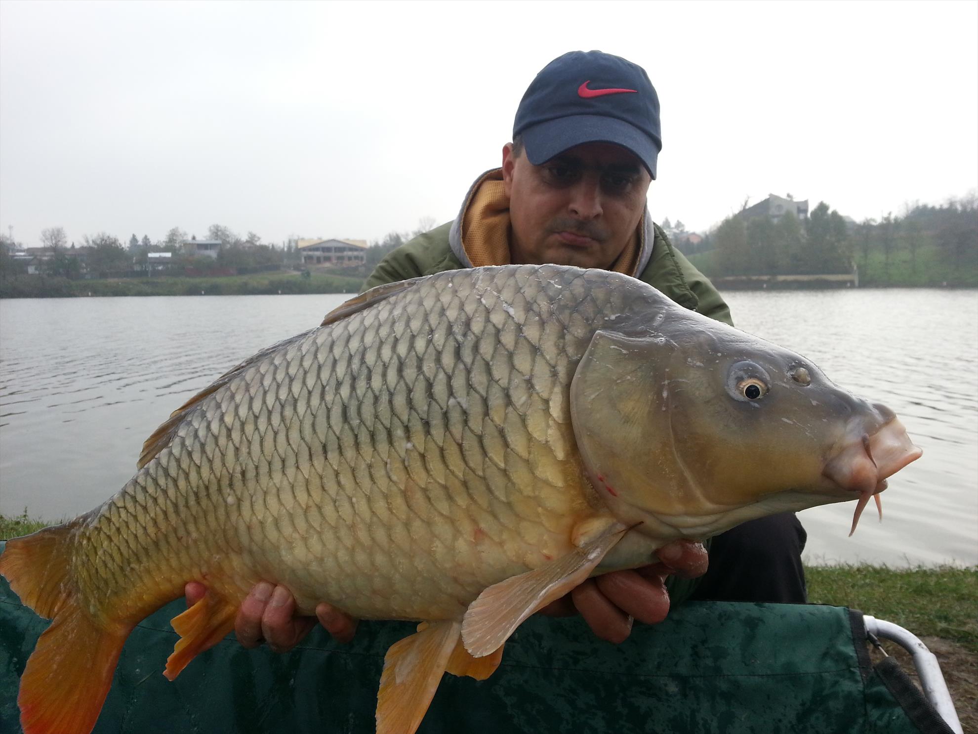 Moara Vlasiei 2 1 noiembrie 2014 - 20141101104818.jpg